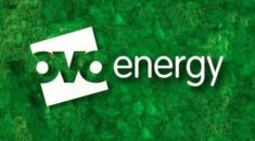 OVO energy logo